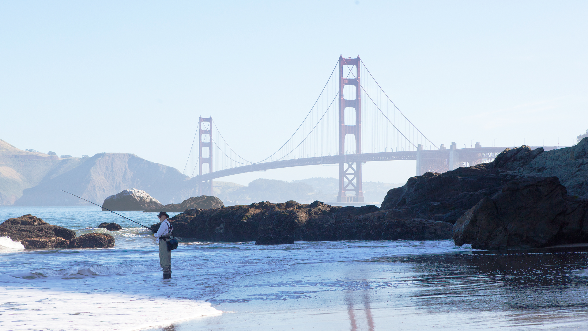 KQED Feature